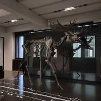 Neues Museum – Layers of History on Museum Island