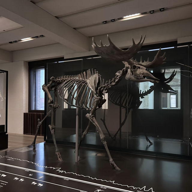 Neues Museum – Layers of History on Museum Island Neues Museum – Layers of History on Museum Island