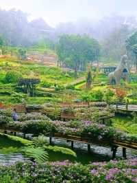 📍 ครัวตำหนัก ดอยตุง จ.เชียงราย 🌿✨