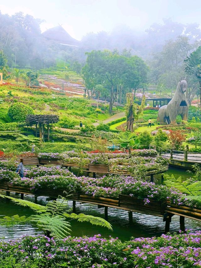 📍 ครัวตำหนัก ดอยตุง จ.เชียงราย 🌿✨
