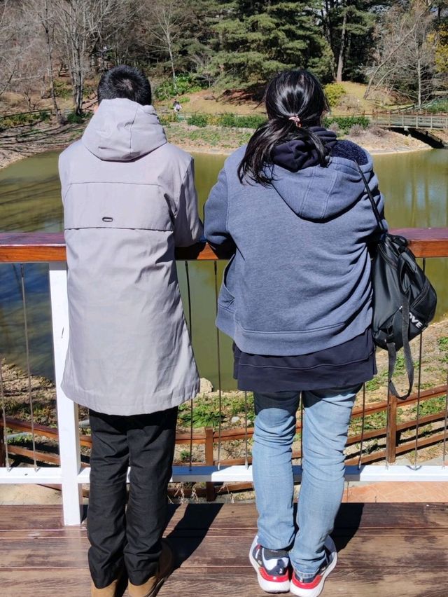 只羨鴛鴦不羨仙#鴛鴦湖-台中市和平區 只羨鴛鴦不羨仙#鴛鴦湖-台中市和平區