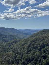 Purling Brook Falls – A Cascading Wonder of Springbrook National Park