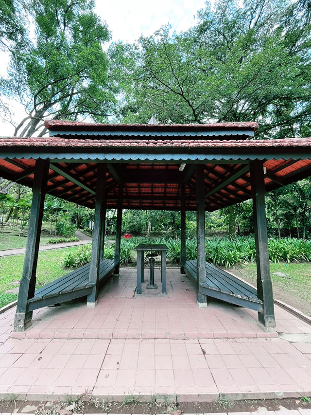 “Serenity in the City: Discover the Tranquil Beauty of Perdana Botanical Garden”