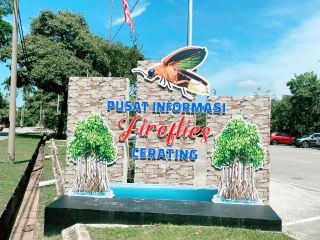 강가의 춤추는 불빛 – 체러팅 반딧불이 🌌✨