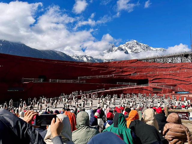 Jade Dragon Snow Mountain Jade Dragon Snow Mountain