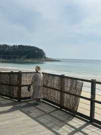 태안간다면 꼭! 바다와 숲이 어우러진 자연 속 힐링 공간