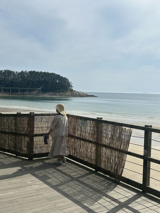 태안간다면 꼭! 바다와 숲이 어우러진 자연 속 힐링 공간 태안간다면 꼭! 바다와 숲이 어우러진 자연 속 힐링 공간