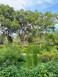 香港|濕地公園|香港紅葉名所|濕地秋色的生態天堂