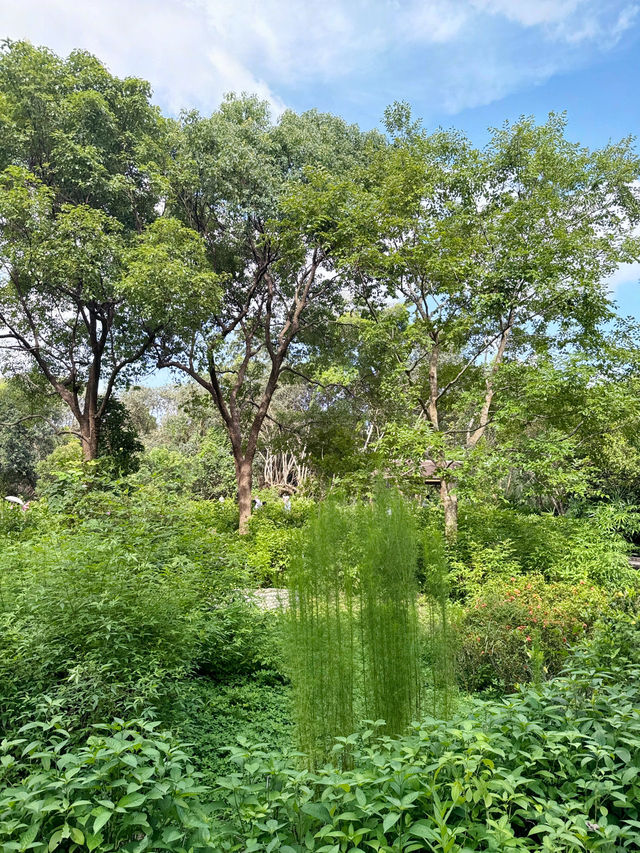 香港|濕地公園|香港紅葉名所|濕地秋色的生態天堂  香港|濕地公園|香港紅葉名所|濕地秋色的生態天堂