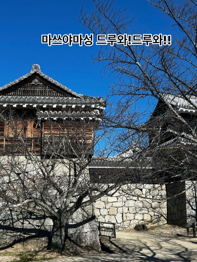 마쓰야마가면 어디가냐구요??
