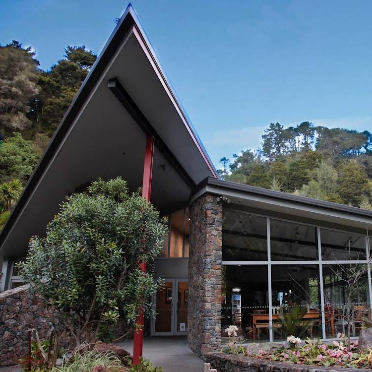 Whangarei Quarry Gardens – A Botanical Haven in Northland
