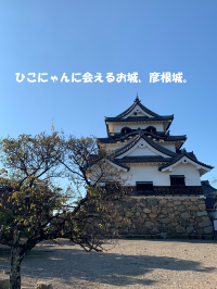 琵琶湖と城下町を一望できる、国宝・彦根城