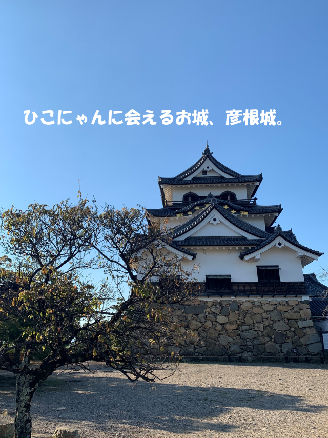 琵琶湖と城下町を一望できる、国宝・彦根城 琵琶湖と城下町を一望できる、国宝・彦根城