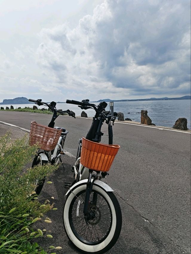 牛島單車遊