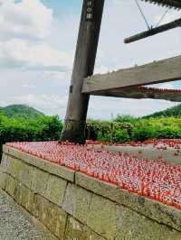 Must-go Spot in Lesser Known Osaka Area