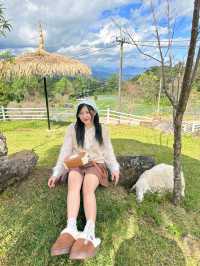 🏡 เตญ่า ฟาร์มวิลล์ คาเฟ่