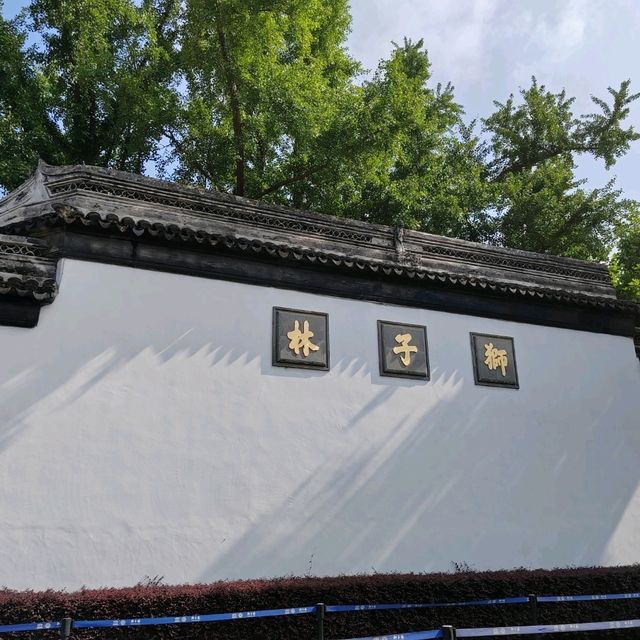 蘇州假山迷宮大揭秘！獅子林的元代園林美學⛰️