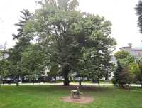 城市靈魂的一角，綠意與藝術共存的街頭花園#水晶花園（Crystal Garden）-Sofia Bulgaria