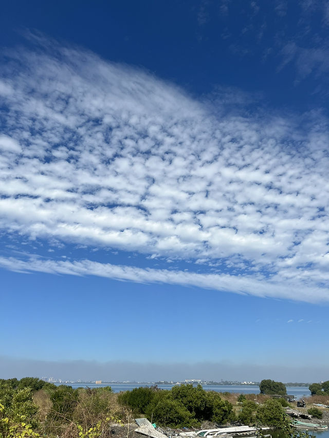 屏東｜大鵬灣 & 濱灣碼頭——把天空的雲當成船帆，沿著潟湖把藍一路航向海口 🌊⛵️