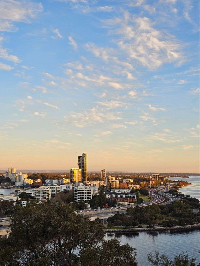 Sunset Vibes & City Views: Picnicking at Kings Park, Perth 🌅✨