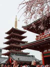 淺草寺（せんそうじ）
