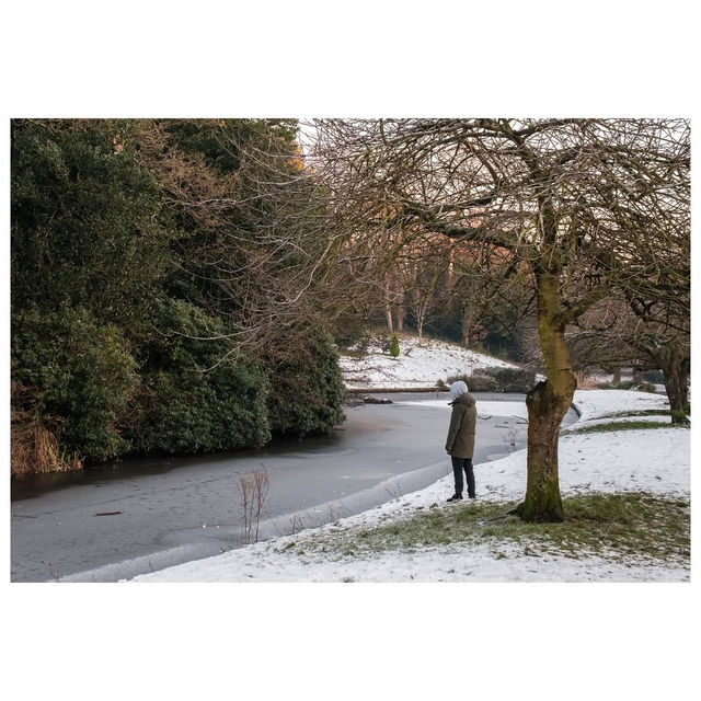 Winter Wonders at Sefton Park, Liverpool