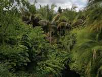 Te Parapara Garden