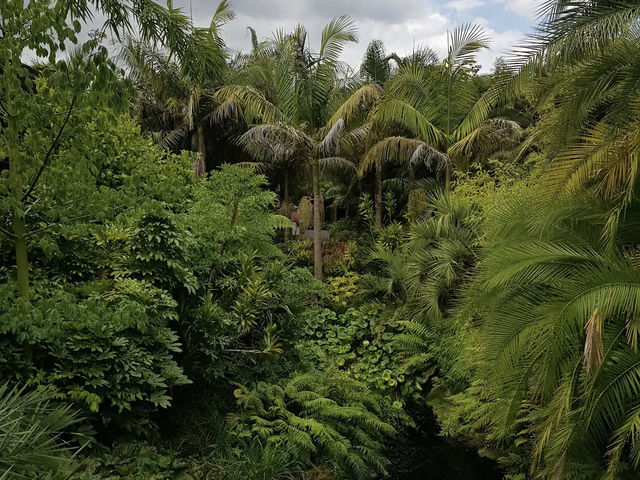Te Parapara Garden