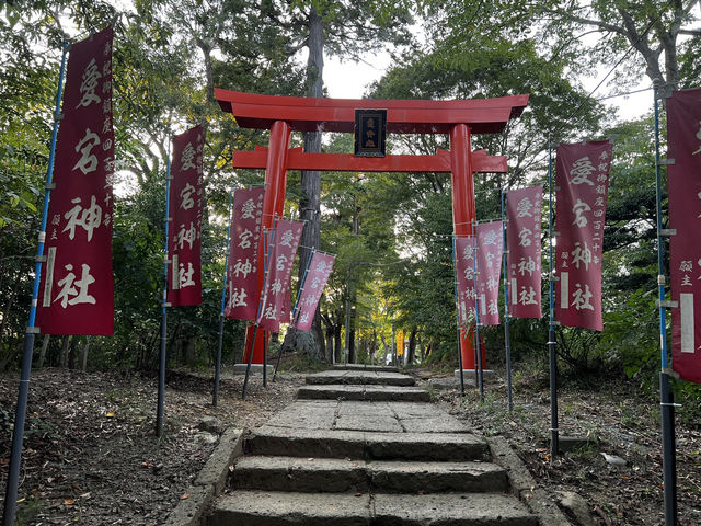 仙台・愛宕神社｜歴史・景観・御利益がひしめくパワースポット