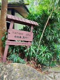 Discover Botanical Wonders🌱Japanese Style Village
