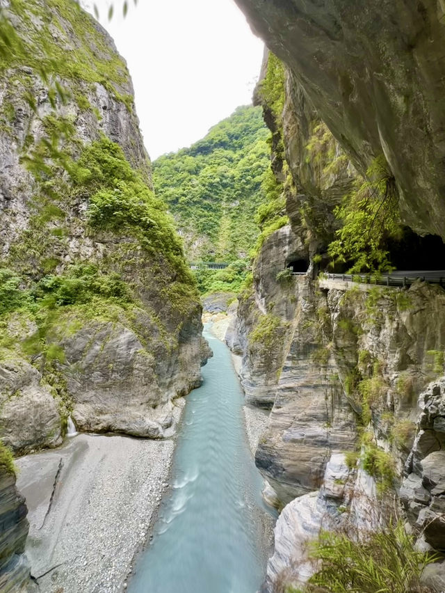 Tunnel of Nine Turns Trail – Nature’s Masterpiece in Hualien 