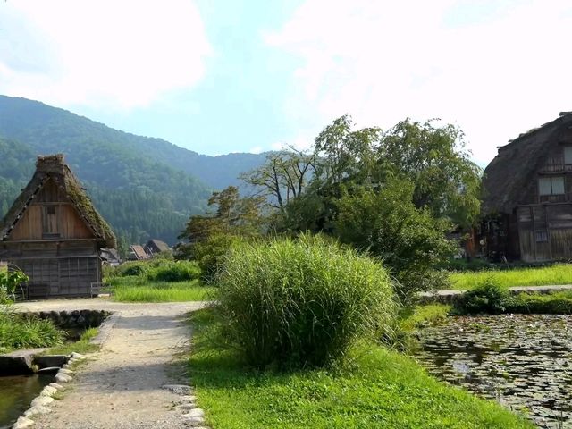 Shirakawa Village: A Step Back in Time