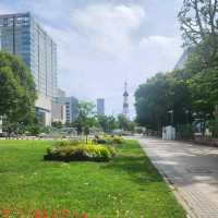 Sapporo’s Summer Glow: Odori Park & Chill Spots 🌞🍻