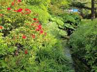 Bournemouth Parks - Lower Gardens
