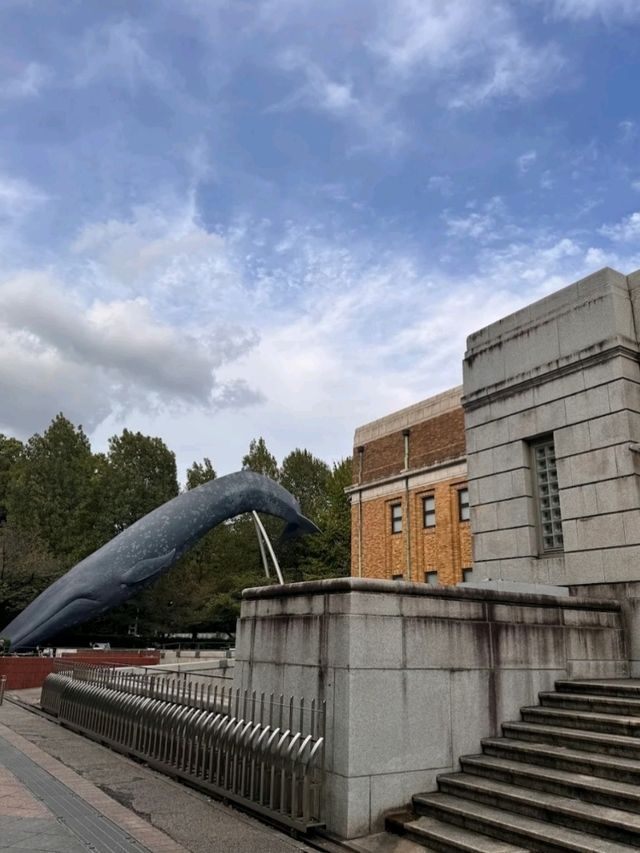NATIONAL MUSEUM OF NATURE AND SCIENCE.