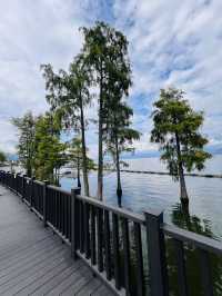Erhai Lake - Cycling, Matcha + Coffee & Hydrangeas Cafe 