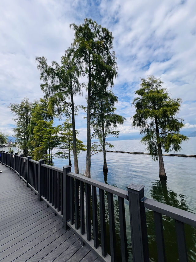 Erhai Lake - Cycling, Matcha + Coffee & Hydrangeas Cafe 