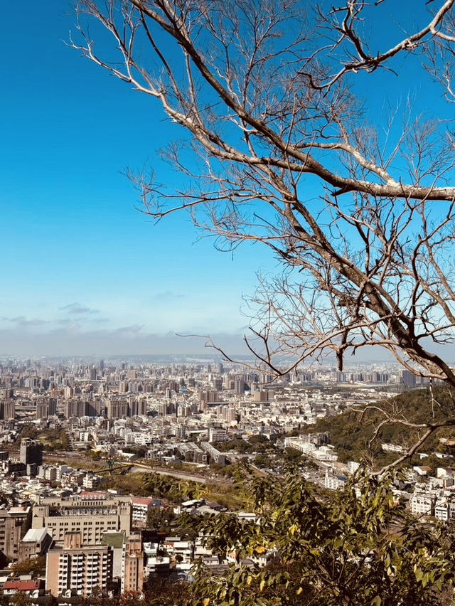 靜謐山林裡的大佛手——南觀音山步道小旅行