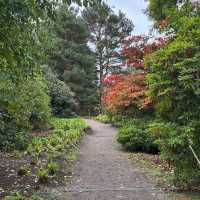 Royal Botanic Garden Edinburgh