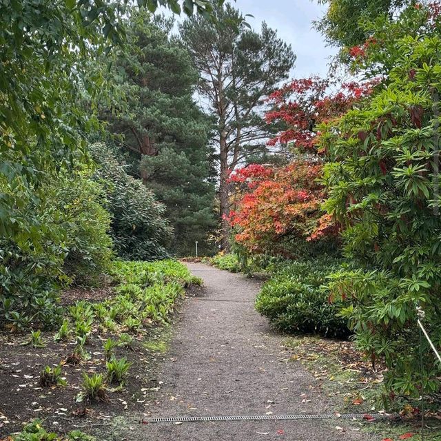 Royal Botanic Garden Edinburgh