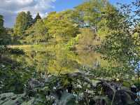 Botanical Garden
