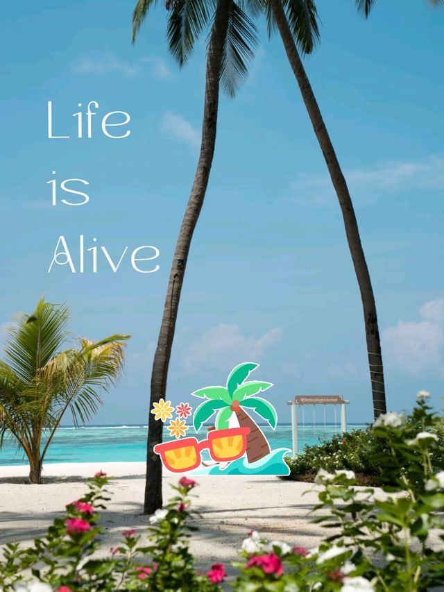 altTitle