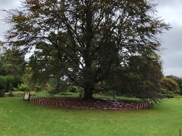 Arboretum Kalmthout
