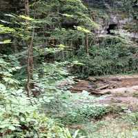 Chaltbrunnental – A Hidden Gorge of History and Nature