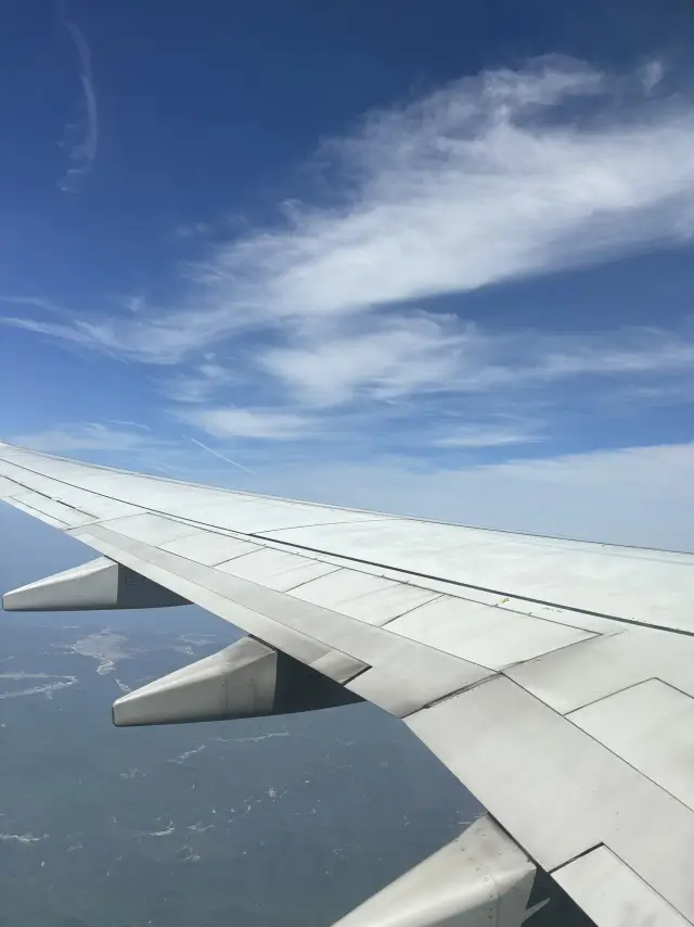 제주島の感性たっぷり、食べて見て感じたルート