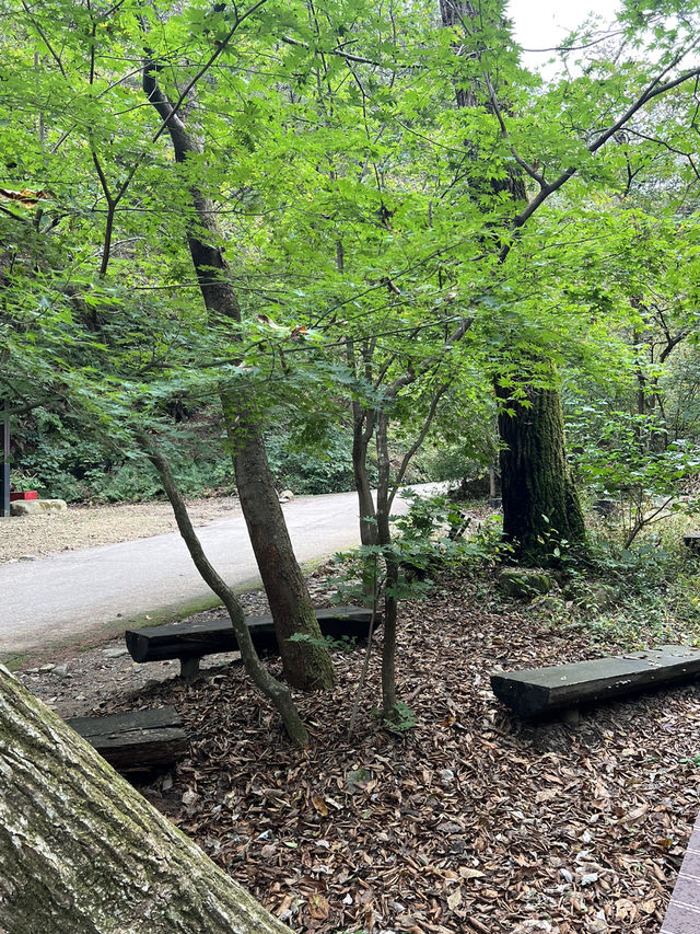 아름다운 계곡길을 지나 🏞️