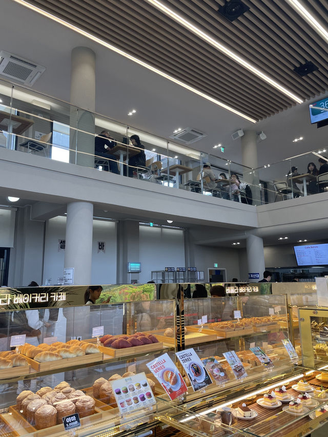 베툴라 베이커리,용인자작나무 숲🧁