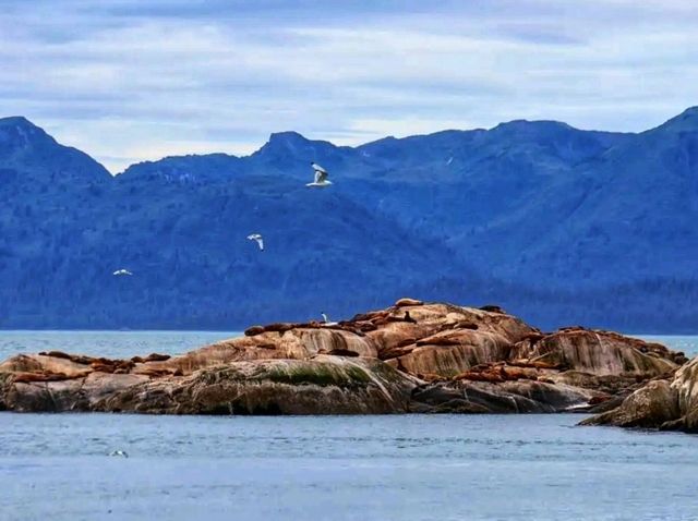 ❄️ Glacier Bay National Park – Alaska’s Living Ice Kingdom