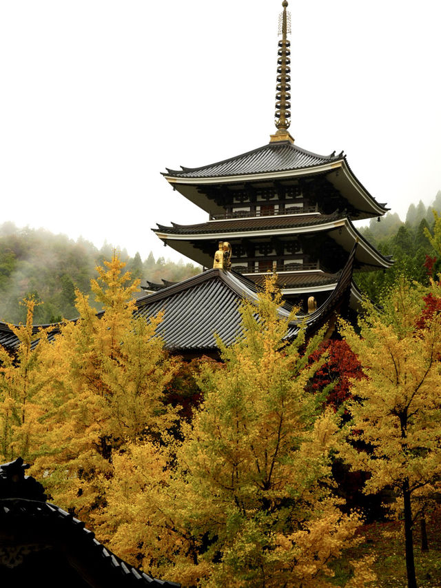 秋はイチョウと五重塔の景色が素晴らしい