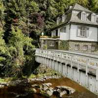 Solo in a Storybook: A Fairytale Day in Monschau
